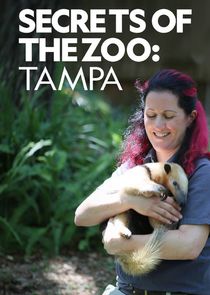 Secrets of the Zoo: Tampa