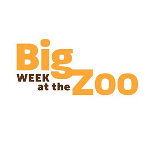 Big Week at the Zoo